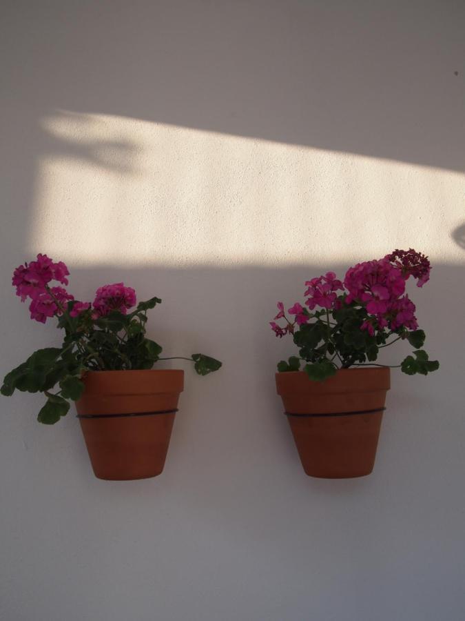 Suites 9 Malaga, Three Unique Suites With Private Plunge Pool Экстерьер фото